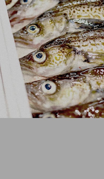 六田のこだわり